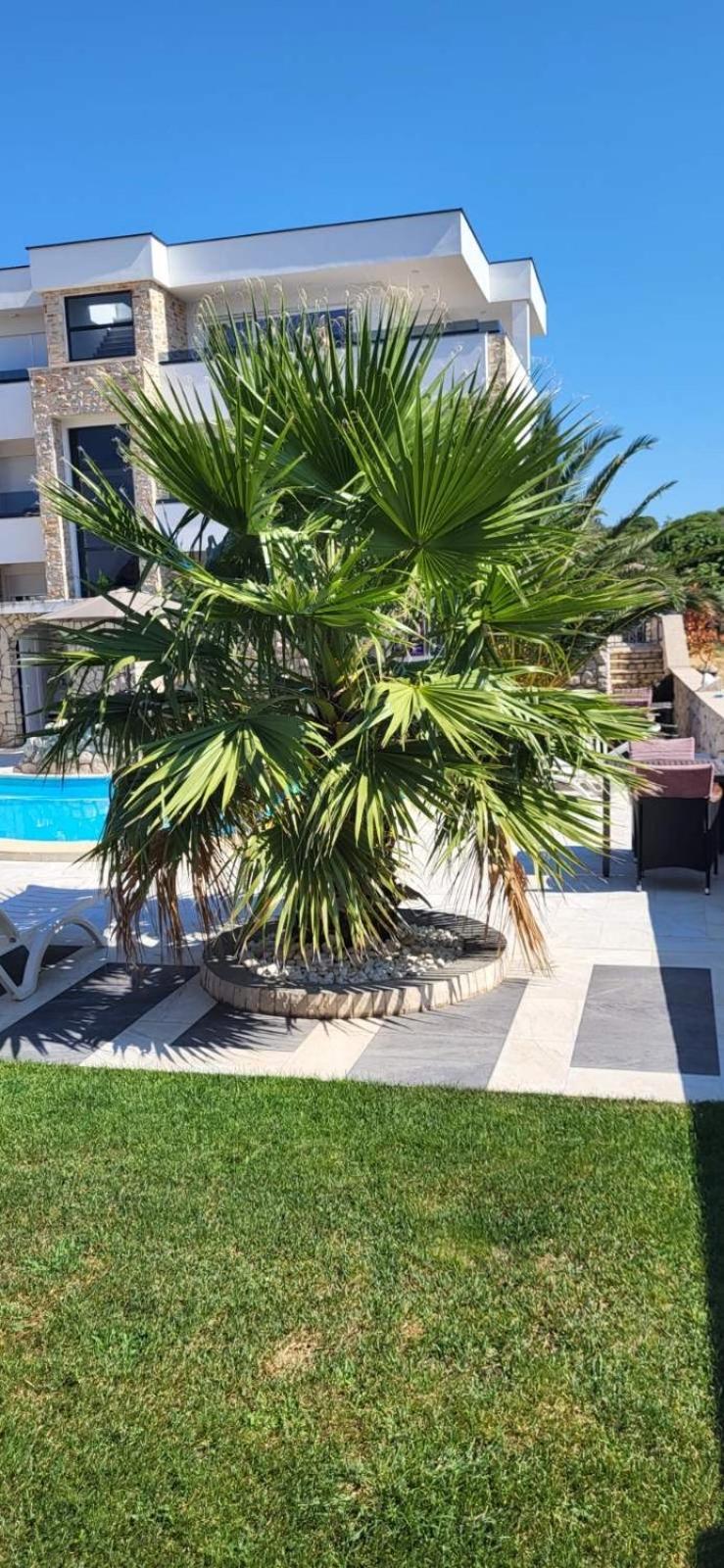 Apartments Albatross Novalja Luaran gambar